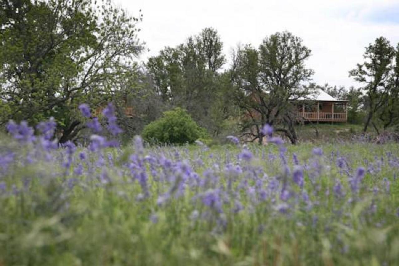 City On A Hill At Spring Creek Fredericksburg Zewnętrze zdjęcie